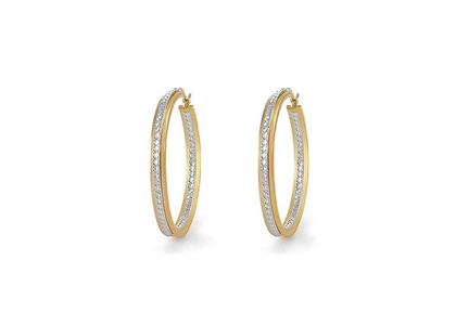 Two Tone Plated | Fashion Earrings